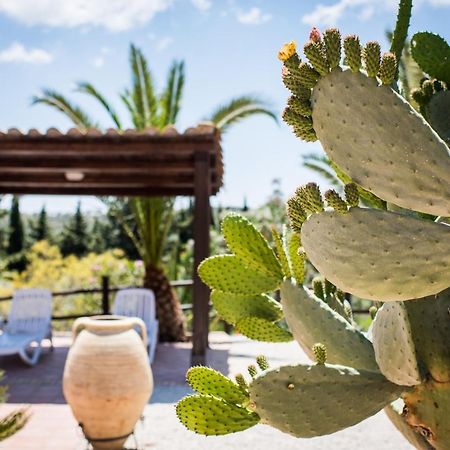 Agriturismo Vecchia Masseria Charme&Relax San Michele di Ganzaria Екстериор снимка